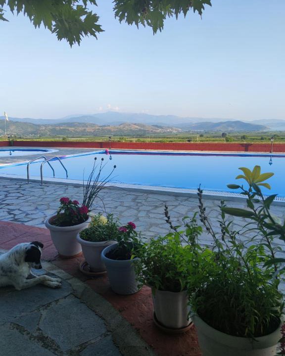 Zervi Hotel | ΠΕΡΙ ΑΝΕΜΩΝ