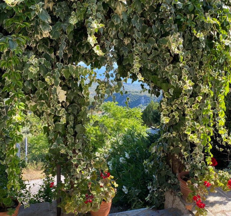 Milies House | A Second Home for Perky Roses, at Milies, Pelion, Volos Greece