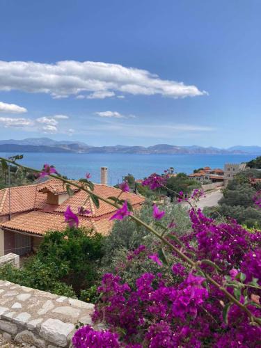Lerna Apartment | Anaval's View Apartments