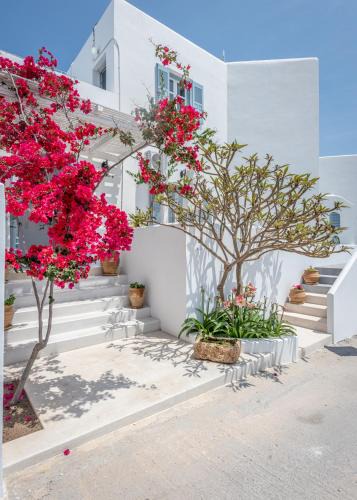Adamas Apartment | Anita Rooms & Suites Milos