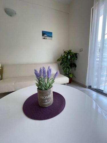 Velipoje Apartment | Aparthotel Vila Tufi