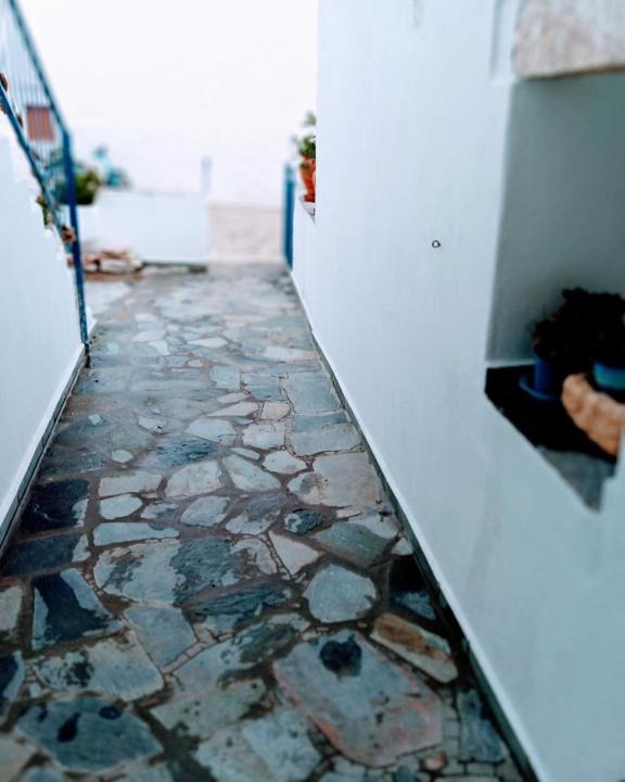 Psathi Apartment | ARGYRO'S HOUSE