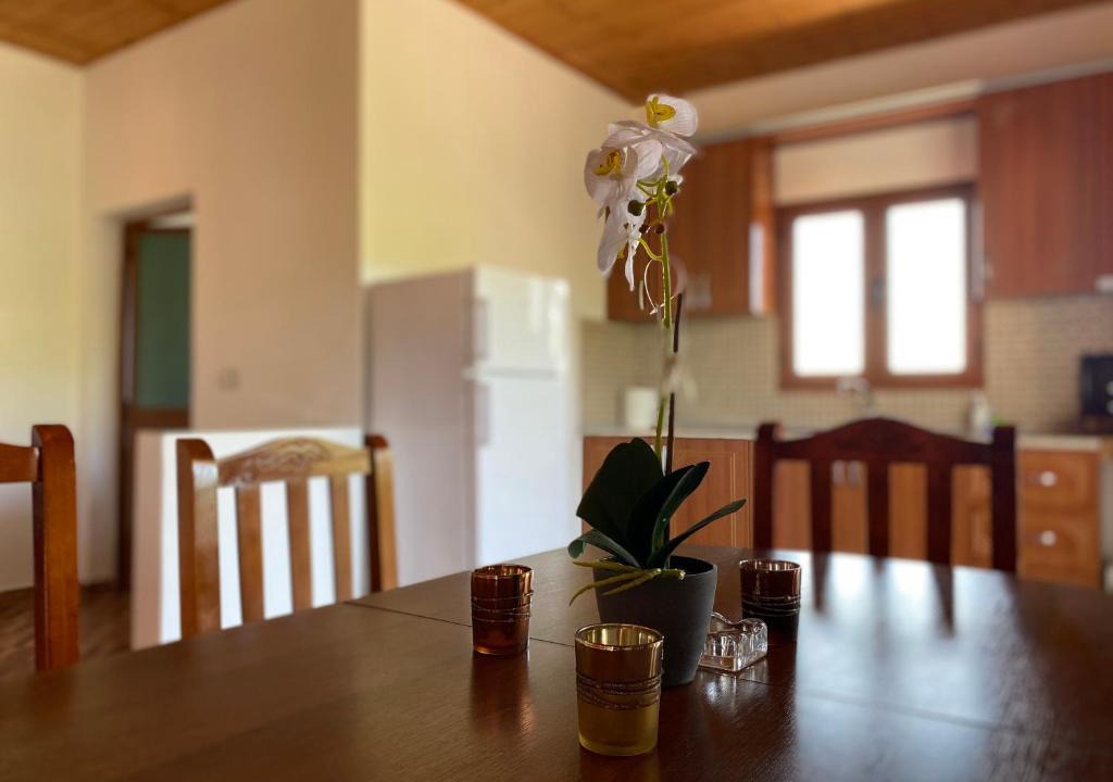 Lezhe Apartment | Boem Villa's