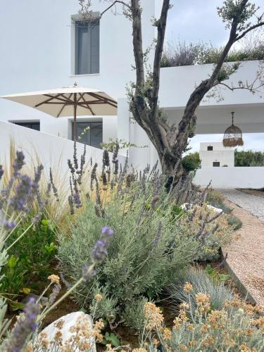 Skiros Apartment | Casa di Amerissa Premium Accommodation