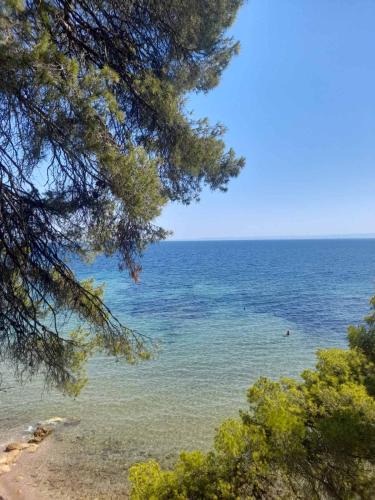 Sithonia Apartment | Cortessa Apartments