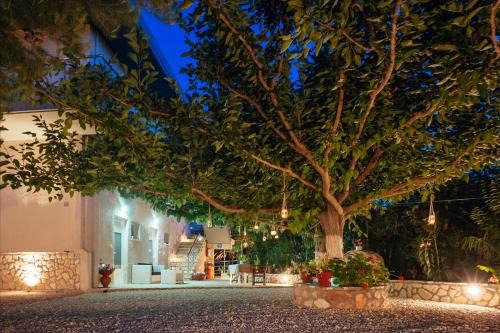 Kandia Apartment | Dimitra Apartments