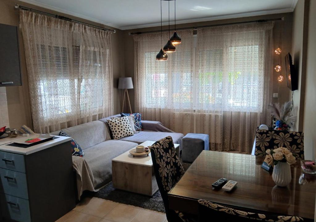 Karditsa Apartment | Dimitris Apartment