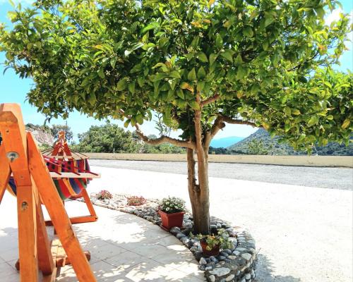 Kefalos Apartment | Eirini