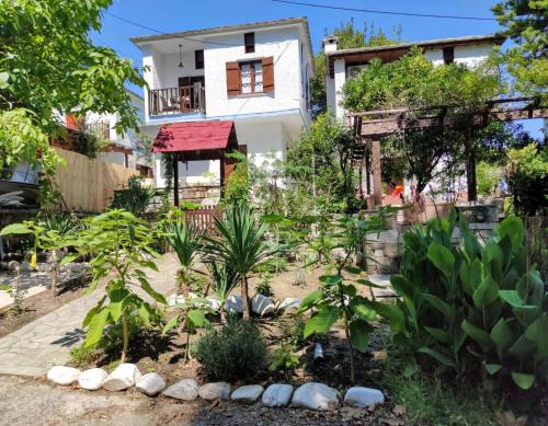Zagora-Mouresi Villa | Flower house