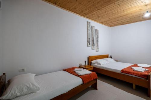 Lukove Apartment | Green Villa