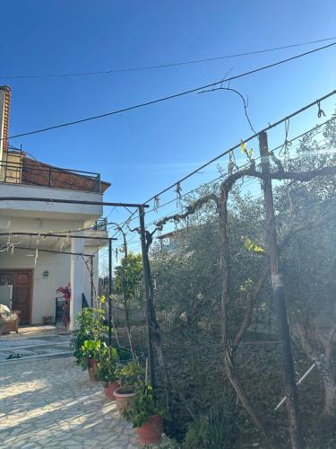 Otllak Apartment | Guest House Arbër