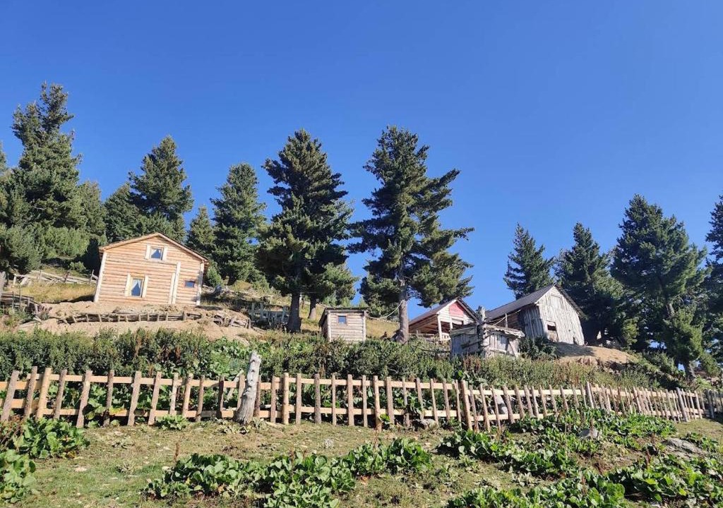 Okol Ski Chalet | Guest House Kolata view