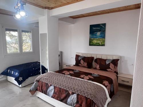 Shkoder Hotel | Hotel I Pari