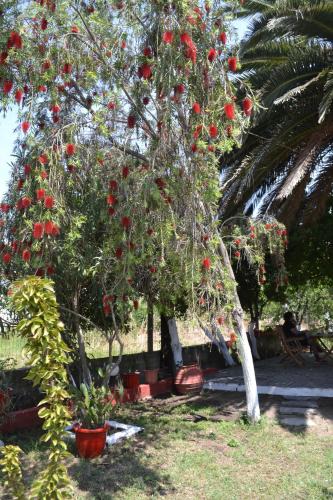 Toroni Apartment | House Souzanna