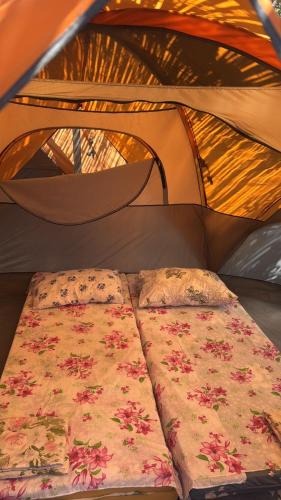 Jala Other | iCampJal Beach Camp and Bar