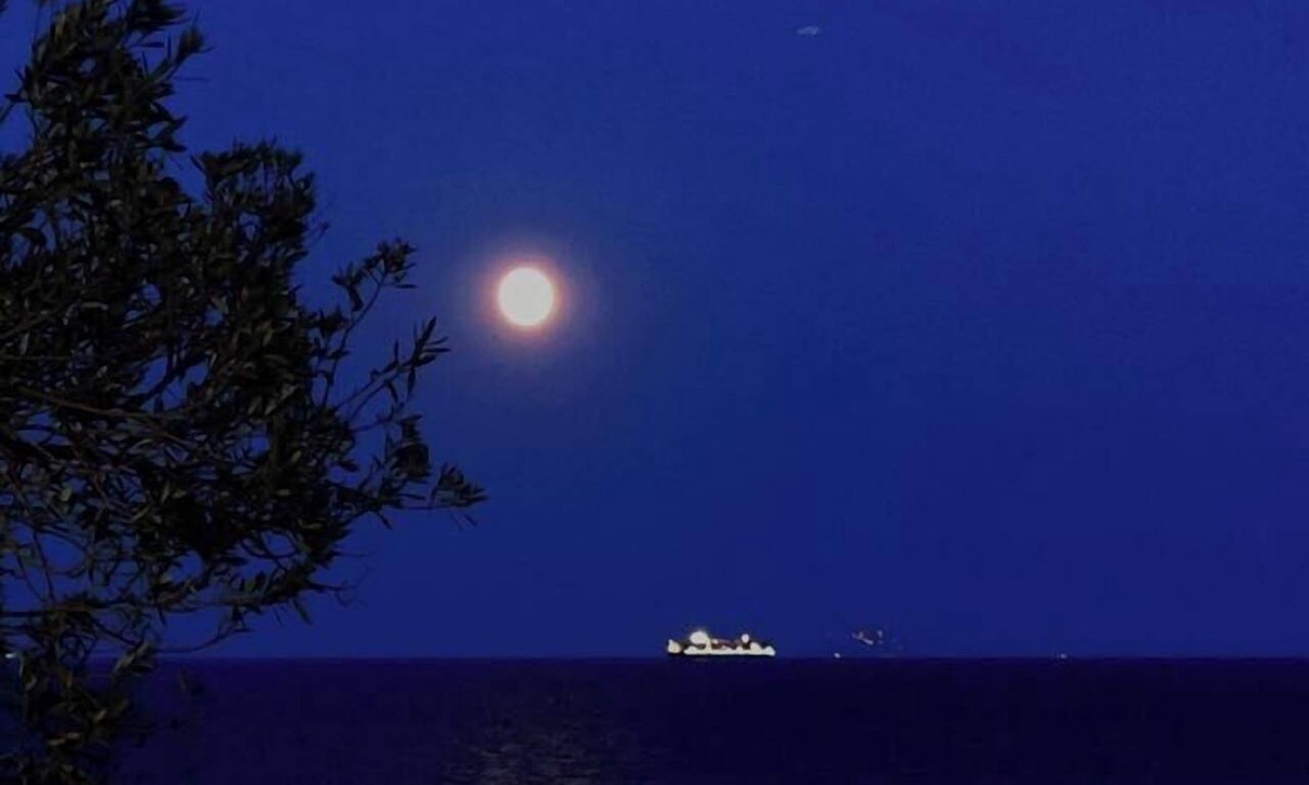 Kontos Hotel | Kavos Bay Seafront Hotel
