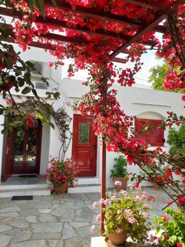 Apollonia Apartment | Kipos