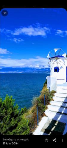 Kato Achaia Hotel | Koralli Sea View Hotel