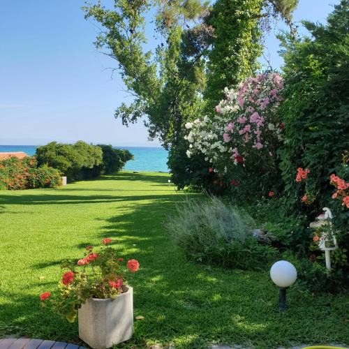 Haniotis House | Lily's House-Seafront apartment in Hanioti, Halkidiki