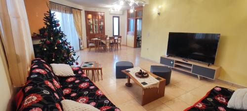 Drama Apartment | Luxurious Apartment Drama
