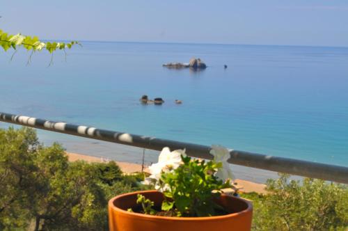Parelia Apartment | Luxury Loft Apartment with Pool - Pelekas Beach, Corfu