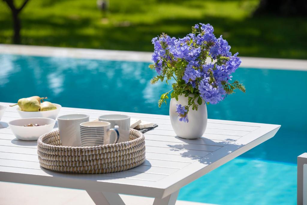Nidri Villa | Luxury Villas Averto with private pool
