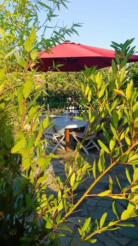 Skiathos Town House | Lyra's house
