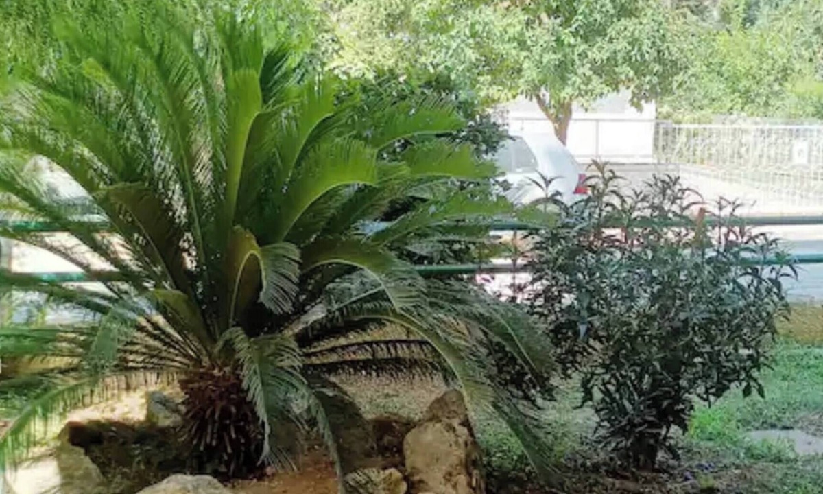 Marousi Apartment | Marousi Residence with Garden