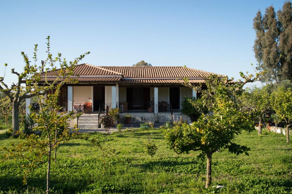 Agia Marina Apartment | Olive Grove Zakynthos