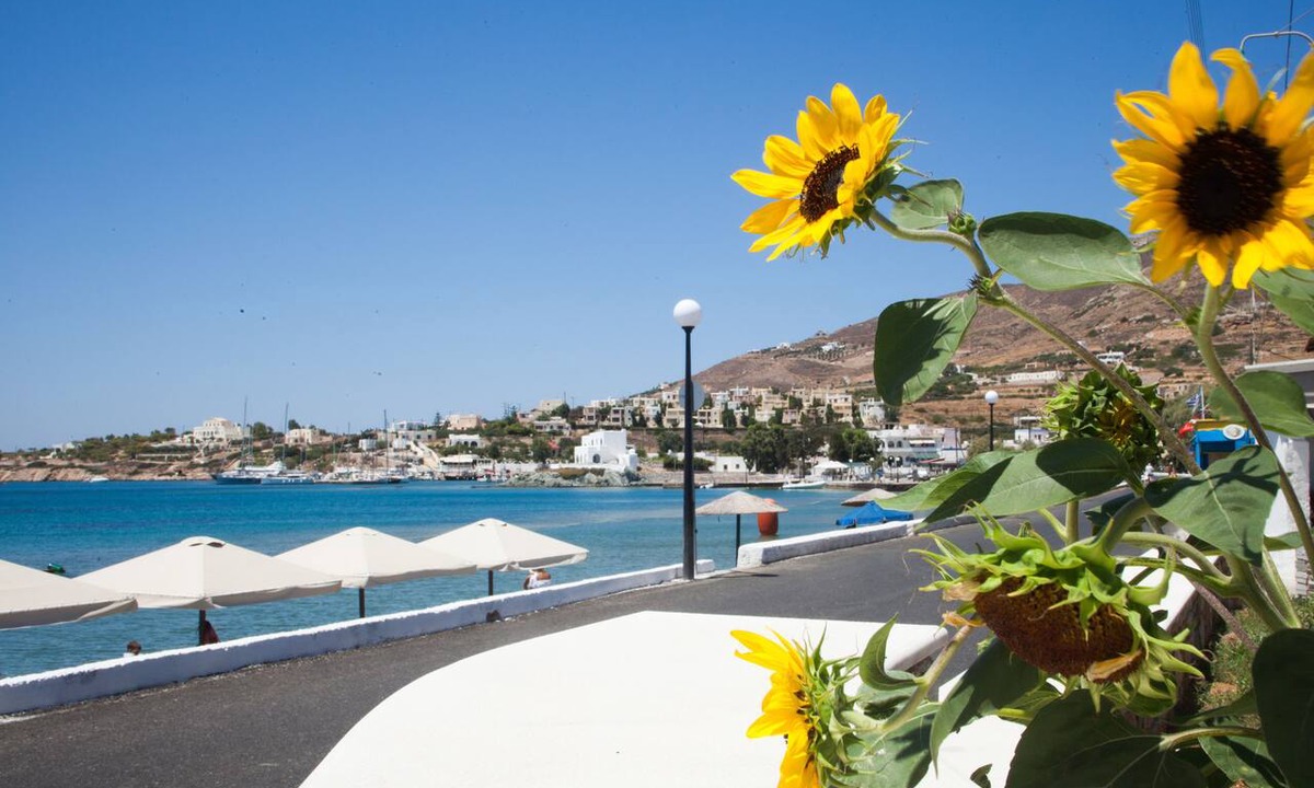 Vissa Hotel | Olympia Hotel