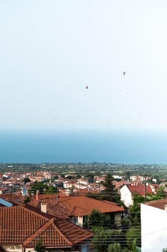Litochoro Apartment | Olympian Panorama