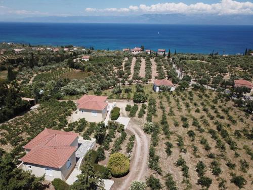 Pylos-Nestoras House | ORFANOS 3