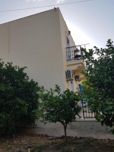 Panormos House | Panormos,Irene's studios
