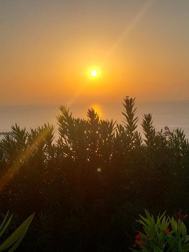 Eleios-Pronnoi Apartment | Sunrise