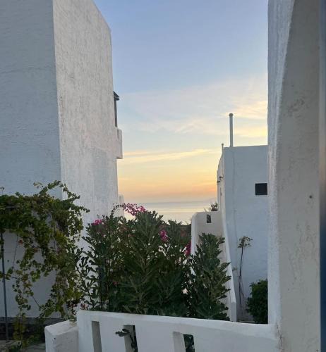 Agia Pelagia Apartment | Thalia Bloom Villa Apartments