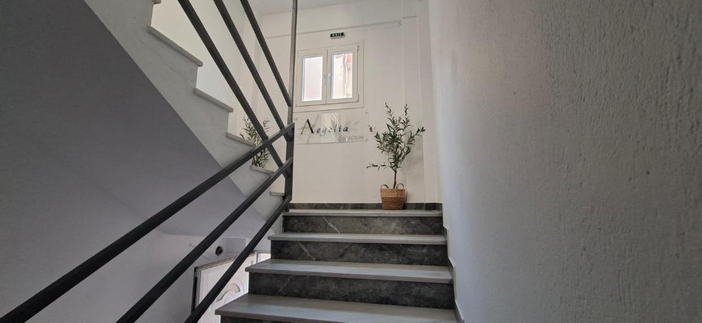 Asprovalta Apartment | The Aegelia Collection