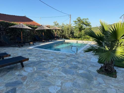 Xinovrisi Apartment | Tsagarakis Guesthouse & Pool, Xinovrissi Pelion