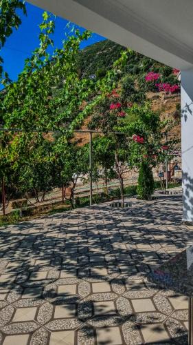 Lukove Villa | Villa Anemos