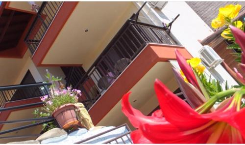 Sarti Apartment | Villa Athina Gia