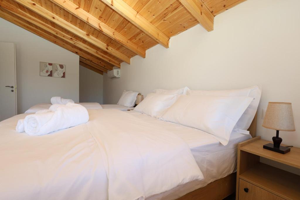 Berat Villa | Villa Dario Roshnik