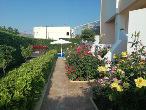 Salamis House | Villa Flash