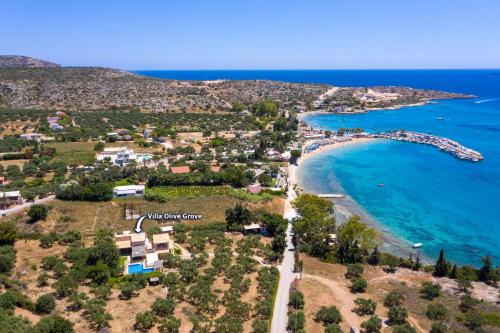 Marathi Villa | Villa Olive Grove by Villa Plus