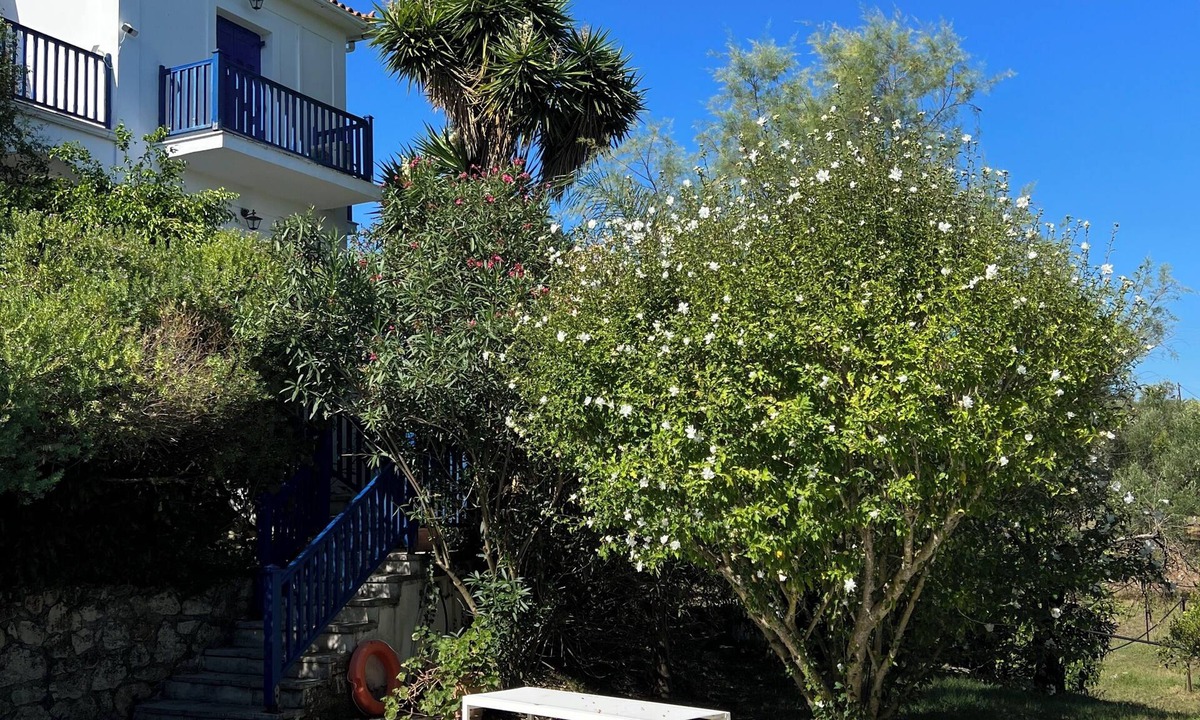 Psarou Villa | Villa Psarou Zakynthos - your home in the sun