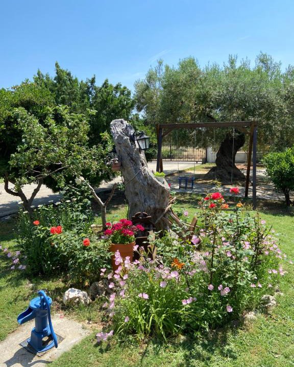 Gerakini House | Wine & Olive Studio