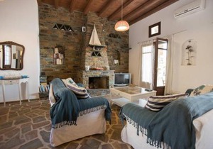 2AG252-House with a pool in Andros