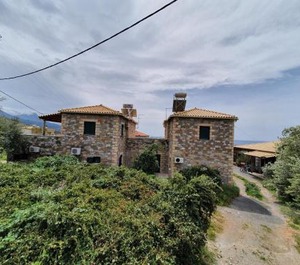 Frigano 
