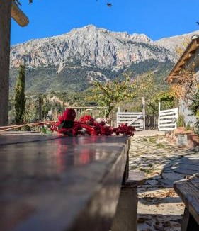 Distomo-Arachova-Antikyra House | Αγρόκτημα Agrikia Σπίτι