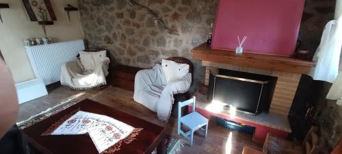 Mesaia Trikala Villa | Αετόπετρα