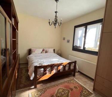 Egira House | Ανάμεσα στα Έλατα