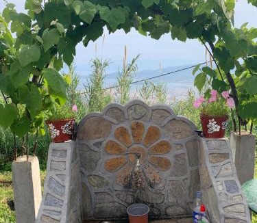 Makrynitsa House | Η Θέα traditional house